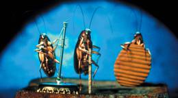 Кадр из фильма "Квартирка Джо" - 2