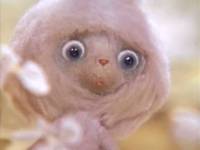 Кадр Ушастик