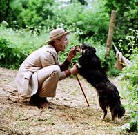 Кадр Неоконченная пьеса для механического пианино