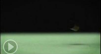 ТВ-ролик №2 (сезон 5, эпизод 1)