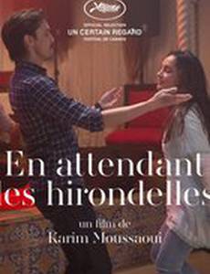 Когда вернутся птицы