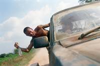 Кадр Собака кусает собаку