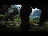 Кадр Кинг Конг