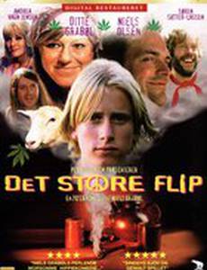 Det store flip