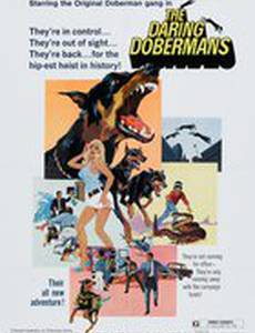 Отважные доберманы