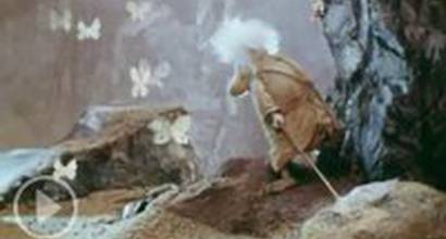 Мультфильм