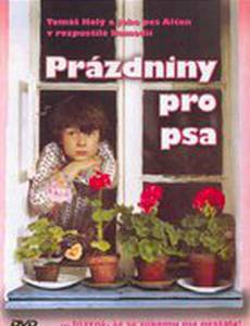 Каникулы для собаки