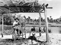 Кадр Робинзон Крузо