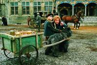 Кадр Фландрийский пес