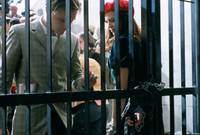 Кадр Мечтатели