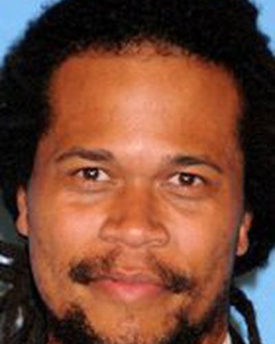 Сет Манн фото