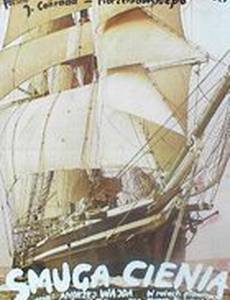 Теневая полоса