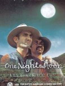 Однажды лунной ночью