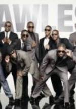 Флаулесс фото