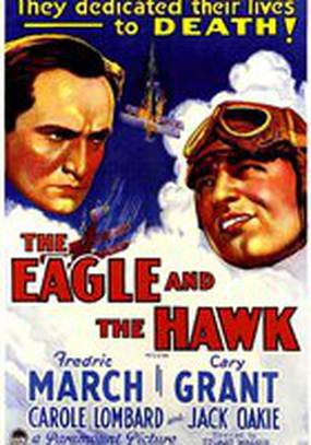 Орел и сокол