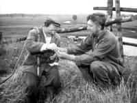 Кадр Когда деревья были большими