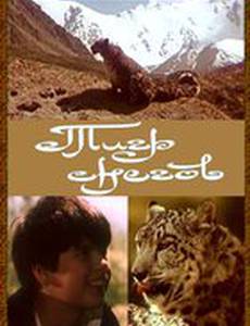 Тигр снегов