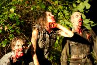 Кадр Земля вампиров