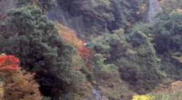 Кадр из фильма "Куклы" - 2