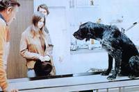 Кадр Веселушка