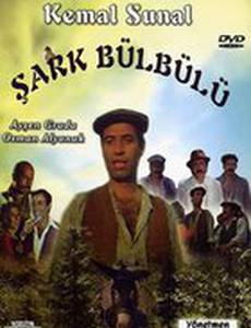 Восточный соловей