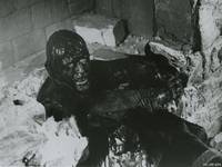 Кадр Ужас Амитивилля