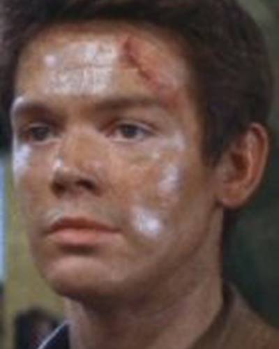 Дэвид Уэстон фото