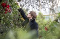 Кадр Страшные сказки