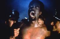 Кадр Пантера