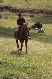 Кадр Дочери Маклеода