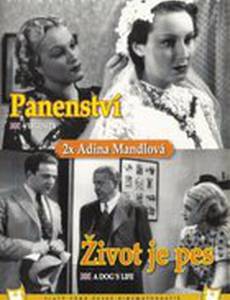 Девственность