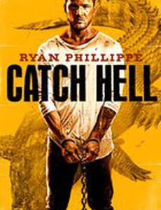 Попал под раздачу