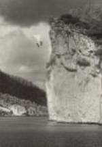 Solier Fagundez фото