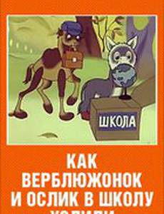 Как верблюжонок и ослик в школу ходили