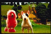 Кадр Бэйб: Поросенок в городе