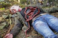 Кадр Пустошь