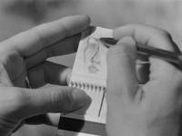 Кадр Подруги