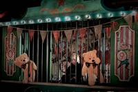 Кадр Магия победы