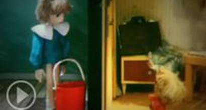 Мультфильм 