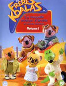 Братья Коалы