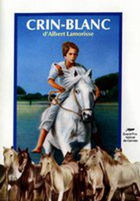 Белая грива: Дикая лошадь