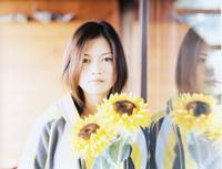 Кадр Полночное Солнце