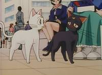 Кадр Красавица-воин Сейлор Мун Эс