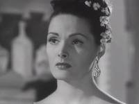 Кадр Собачья жизнь