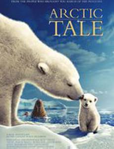 Мишка на севере