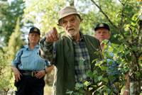 Кадр Разгар лета