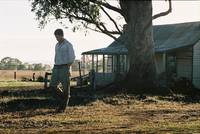 Кадр Забытые желания