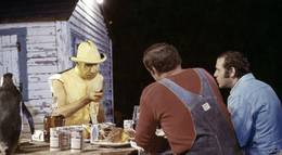 Кадр из фильма "Возвращение надоедливой букашки" - 1