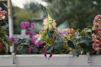 Кадр Спайдервик: Хроники