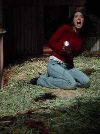 Кадр Тыкворез